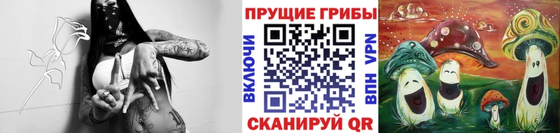 Псилоцибиновые грибы Psilocybe  Ивангород 