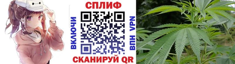Канабис сатива  Ивангород 